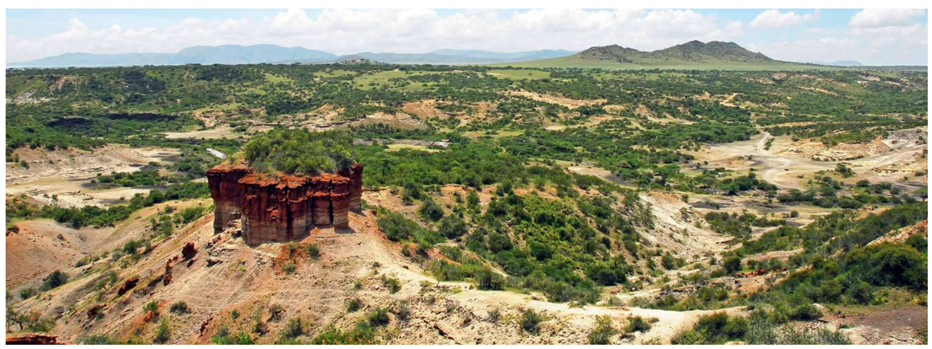 An area around Olduvai Gorge showing a well preserved sedimentary 1.2 Ma - 600,000 years succession of sedimentary beds. 