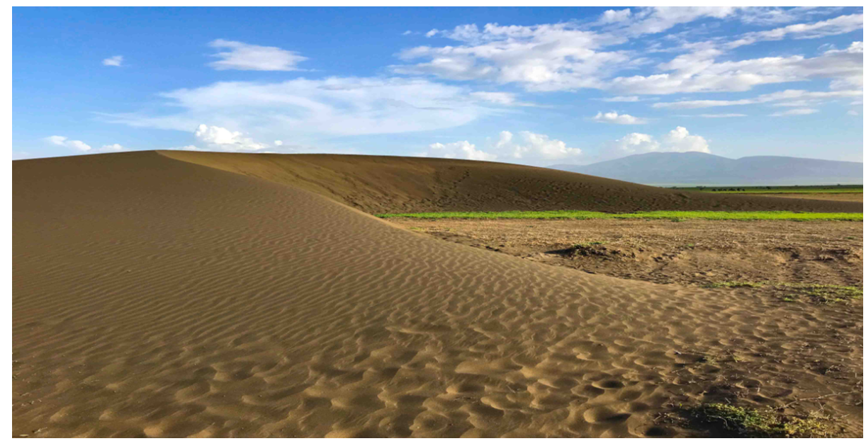 Crescent shaped strongly magnetic shifting sands.