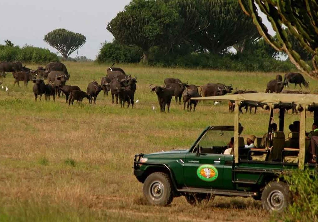 Queen Elizabeth National Park