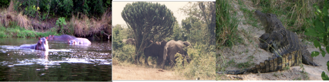 Nyamsika sandstone exposure on the banks of the Victoria Nile (l) and Oil film on the Victoria Nile (r)